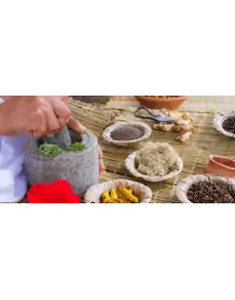 comprar Hierbas y plantas online